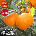 津之望 みかん 約5kg