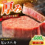 長崎和牛 ヒレステーキ 計600g