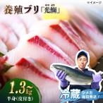 養殖 ぶり 光鰤 半身 約1.3kg~ 刺身 ブリしゃぶ