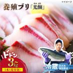 魚 養殖 ブリ 光鰤 1本