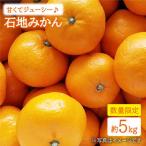 みかん 西海 石地 約5kg