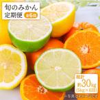 みかん 旬の定期便 蜜柑 柑橘