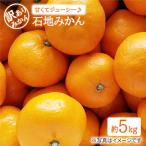 みかん 西海 石地みかん 約5kg
