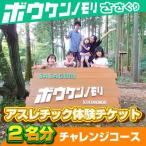 アスレチック体験チケット2名分 チャレンジコース