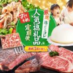 3回定期便 上位 西海の宝物定期便 CZZ023