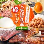 6回定期便 上位 西海の宝物定期便 CZZ024