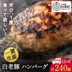 白老豚 ハンバーグ 120g×20個