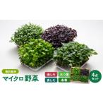 fu.... налог микро овощи 4 позиций комплект ( красный .. синий .. три лист весна .)[.. сельское хозяйство .][TDO002] Gifu префектура много . видеть город 