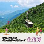 ロープウェイ 駒ヶ岳 往復券 入場券
