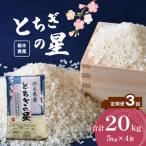 産とちぎの星 20kg