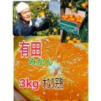 有田みかん 3kg