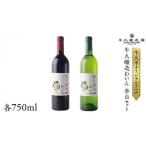 牛久醸造 わいん 赤白 セット 計 2本