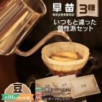 焙煎珈琲豆 いつもと違った個性派セット