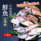 セット 類 日本海の鮮魚 刺身 切り身