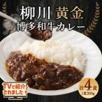 柳川黄金博多和牛カレー 4箱