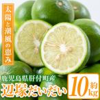 辺塚だいだい 青果 10kg