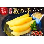 ふるさと納税 国産 塩数の子ジャンボ(北海道産) 1本羽 500g mi0012-0069 海鮮 魚卵 魚介 おせち 正月 ニシン カス゛ノコ 千葉県南房総市