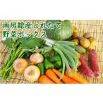 南房総産とれたて野菜ボックス mi0012-0130