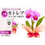 大輪カトレアピンク系 2輪付き mi0013-0002