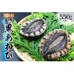 房州産天然黒あわび約550g mi0014-0007