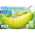 千葉アクアメロン1玉 1.2Kg