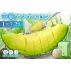 千葉アクアメロン1玉 1.2Kg