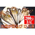 天然伊勢えびひらき 600g