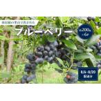 fu.... налог [ предшествующий прием 2026 год 7 месяц средний . из последовательный отправка предположительно ] примерно 200g×6 упаковка юг . общий. . гора ..... голубика mi0026-0001-2 Chiba префектура юг . общий город 