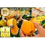 fu.... налог [ предшествующий прием 2026 год 5 месяц последняя декада ~6 месяц средний . отправка предположительно ]{ есть перевод } производство человек прямая поставка .. локва 1 kilo пакет ввод ( немного .. есть ) mi0044-0013 Chiba префектура юг . общий город 