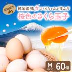 純 鶏さくらちゃんが産んだ桜色のさくら玉子の五分咲き60個◇