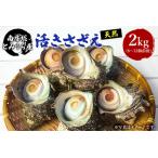 南房総とみうら産 天然 活きさざえ mi0051-0003