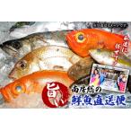 私達に任せてみませんか 南房総の旨い鮮魚直送便