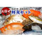 急速冷凍 内臓処理済み お任せ鮮魚セット