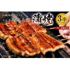 ふるさと納税 のし対応可能 国産うなぎ 「坂東太郎使用」 蒲焼 3串 大サイズ 130g前後×3串 mi0058-0001 千葉県南房総市 大きい 冷凍 備長.. 千葉県南房総市