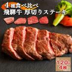飛騨牛祭り ステーキ編