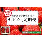 荒巻エコタロウ農園のぜいたく定期便 あまおう約300g×3回