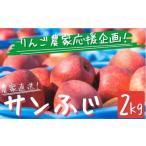 ふるさと納税 りんご サンふじ 2kg 訳あり  家庭用 【 訳アリ 果物 フルーツ 不揃い 長野県産 長野 お試し 8000円 8000 】 農家応援企画 令和6年.. 長野県飯綱町