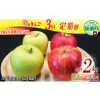 ふるさと納税 りんご 旬のりんご < 定期便 > 家庭用 訳あり 2kg × 3回 農家応援企画 【令和7年度収穫分】 沖縄県への配送不可 2025年10.. 長野県飯綱町