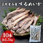 fn-64-002 三陸釜石産 するめいか