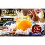 定期便 お楽しみ 毎月届く 平飼い有精卵 さがみっこ 30個