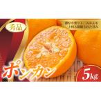秀品 ポンカン 5kg