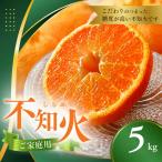 果肉プリプリ♪ 完熟 紀州 デコ 不知火 5kg