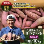 掘りたて さつまいも 紅はるか 10kg