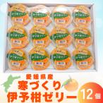 寒づくり伊予柑ゼリー詰合せ 平箱 12個入り