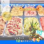 ふるさと納税 受賞・まるごと能登ジェラート12個_ジェラート アイス セット スイーツ おやつ マルガジェラート 国産 産地直送 人気 おすすめ .. 石川県野々市市