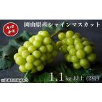 ふるさと納税 厳選 シャインマスカット 2房 合計1.1kg以上 産地直送 朝採れ ぶどう 葡萄 Kawahara Green Farm 岡山県産 2025年 果物 フルーツ 甘.. 岡山県玉野市