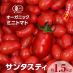 オーガニックミニトマト サンタスティ 約1.5kg