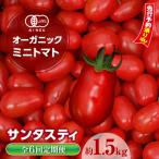 オーガニックミニトマト サンタスティ 約1.5kg