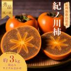 紀ノ川柿 約3kg2L~4L サイズおまかせ