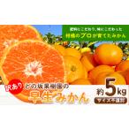 みかん 訳あり ゆら早生みかん 約5kg
